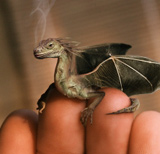 Ochočte si svého draka